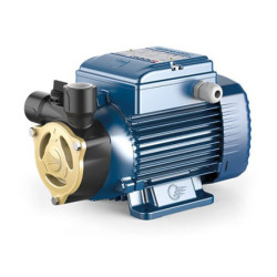Sausai statomas horizontalus siurblys Pedrollo PQAm 50 230V