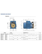 Sausai statomas horizontalus siurblys Pedrollo PQAm 90 230V