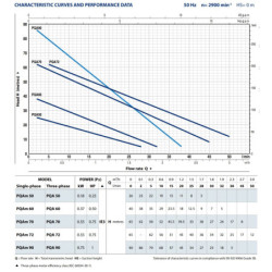 Sausai statomas horizontalus siurblys Pedrollo PQA 90 400V