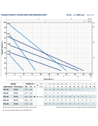 Sausai statomas periferinis siurblys Pedrollo PV70 400V