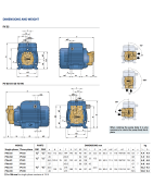 Sausai statomas periferinis siurblys Pedrollo PV70 400V