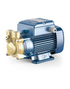 Sausai statomas periferinis siurblys Pedrollo PV90 400V