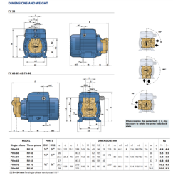 Sausai statomas periferinis siurblys Pedrollo PV90 400V