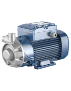 Sausai statomas horizontalus siurblys Pedrollo PQ3000-MF 400V