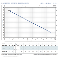 Sausai statomas horizontalus siurblys Pedrollo PQ3000-MF 400V