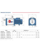 Daugiapakopis siurblys Pedrollo PLURIJET m3/120 230V