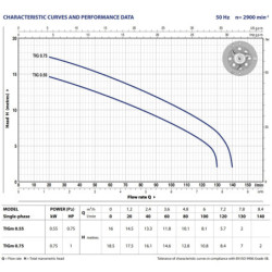 Fekalinis siurblys su smulkintuvu Pedrollo TRITUS Inox TIGm 0.75