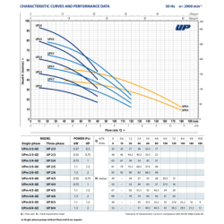 Giluminis vandens siurblys šuliniams Pedrollo UP 2/6-GE