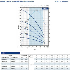 Giluminis vandens siurblys Pedrollo 3SR1/31, 400 V