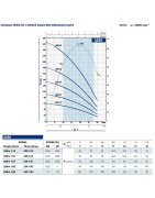 Giluminis vandens siurblys Pedrollo 3SR1m/42, 230 V