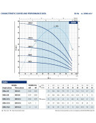Giluminis vandens siurblys Pedrollo 3SR4m/16, 230 V
