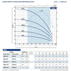 Giluminis vandens siurblys Pedrollo 3SR4m/23, 400 V
