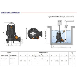 Fekalinis siurblys su smulkintuvu Pedrollo TRITUS TRm 2.2 AP