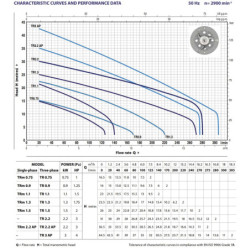 Fekalinis siurblys su smulkintuvu Pedrollo TRITUS TR 2.2 AP