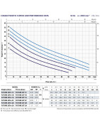 Sausai statomas siurblys Pedrollo Future JETm2C-24APT