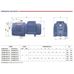 Sausai statomas siurblys Pedrollo Future JETm2C-24APT