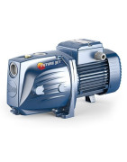 Sausai statomas siurblys Pedrollo Future JETm2C-60APT