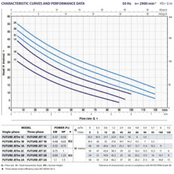 Sausai statomas siurblys Pedrollo Future JETm2C-60APT