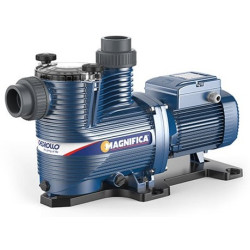 Siurblys baseinams su smulkintuvu Pedrollo Magnifica 3M, 1.1 kW
