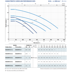 Siurblys baseinams su smulkintuvu Pedrollo Magnifica 5M, 2.2 kW