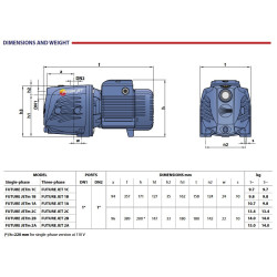 Siurblys su hidroforu Pedrollo FUTURE JETm 2AX-24SF