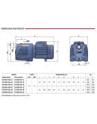 Siurblys su hidroforu Pedrollo FUTURE JETm 2CX-24SF