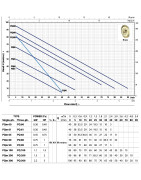 Sausai statomas horizontalus siurblys Pedrollo PQm61 230V