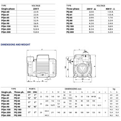 Sausai statomas horizontalus siurblys Pedrollo PQm61 230V