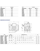 Sausai statomas horizontalus siurblys Pedrollo PQ61 400V