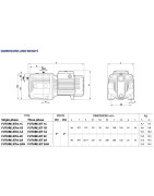 Sausai statomas horizontalus siurblys Pedrollo Future JET1BX