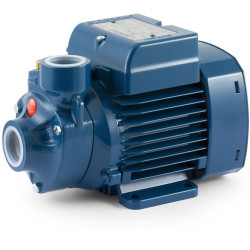 Sausai statomas horizontalus siurblys Pedrollo PKm300 220V