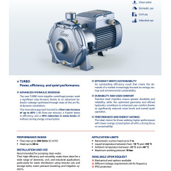 Dvipakopis siurblys Pedrollo TURBO 4B 400V