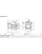 Periferinis siurblys Pedrollo PQm81-PPS 230V (PPS plastikinis korpusas, žalvarinis darbaratis)