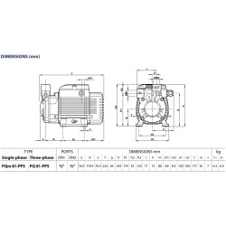 Periferinis siurblys Pedrollo PQm81-PPS 230V (PPS plastikinis korpusas, žalvarinis darbaratis)