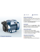 Periferinis siurblys Pedrollo PQm81-PPS 230V (PPS plastikinis korpusas, žalvarinis darbaratis)