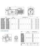 Daugiapakopis siurblys Pedrollo FCR 130/6 400V (2.2 kW, 6 pakopos)