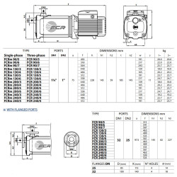 Daugiapakopis siurblys Pedrollo FCR 200/3 400V (1.1 kW, 3 pakopos)