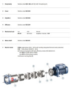 Daugiapakopis siurblys Pedrollo FCR 200/4 400V (1.5 kW, 4 pakopos)