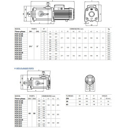 Daugiapakopis siurblys Pedrollo FCR15/2R 400V (2.2 kW, 2 pakopos)