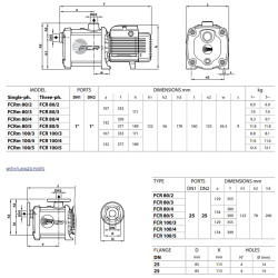 Daugiapakopis siurblys Pedrollo FCRm 80/2 230V (0.3 kW, 2 pakopos)