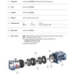 Daugiapakopis siurblys Pedrollo FCRm 100/5 230V (0.9 kW, 5 pakopos)
