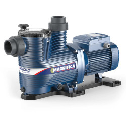 Siurblys baseinams Pedrollo MAGNIFICA 5m, 2.2 kW
