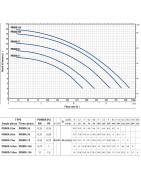 Siurblys baseinams Pedrollo PRIMA 33m, 0.25 kW