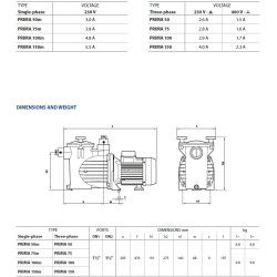 Siurblys baseinams Pedrollo PRIMA 100, 0.75 kW