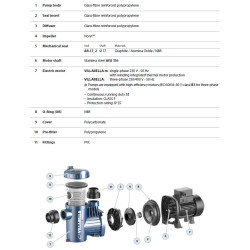 Siurblys baseinams Pedrollo VILLABELLA 150m, 1.1 kW