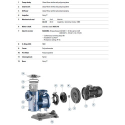 Siurblys baseinams Pedrollo MAXIMA 4/400, 3 kW