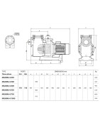 Siurblys baseinams Pedrollo MAXIMA 4/750, 5.5 kW