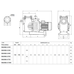 Siurblys baseinams Pedrollo MAXIMA 4/1000, 7.5 kW