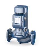 Cirkuliacinis siurblys Pedrollo WR 50/125B, 1.5 kW