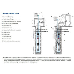 Giluminis vandens siurblys Pedrollo 4SR6/6